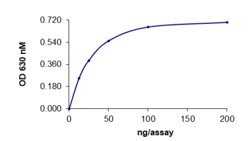 Sino Biological&nbsp;Recombinant Human SHP-1 Protein (Full Length, His Tag), Active